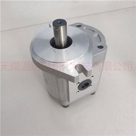 装载机齿轮泵CBK1020 温纳齿轮油泵厂家