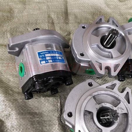 装载机齿轮泵CBK1020 温纳齿轮油泵厂家