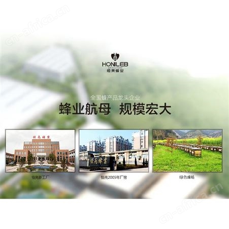 蜂蜜醋外贸出口加盟