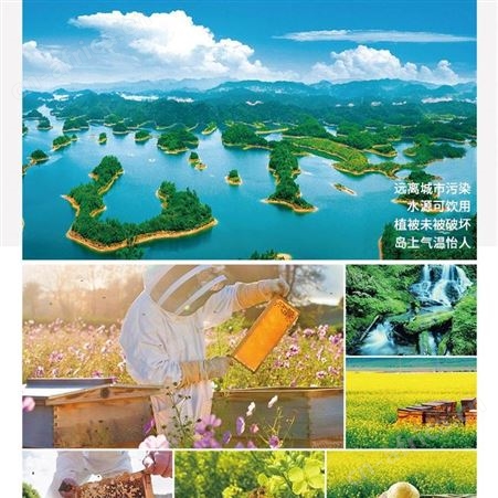 重庆恒亮蜂皇浆胶囊一件代发
