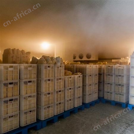 山西恒亮蜂皇浆冻干粉网红直播供货厂家