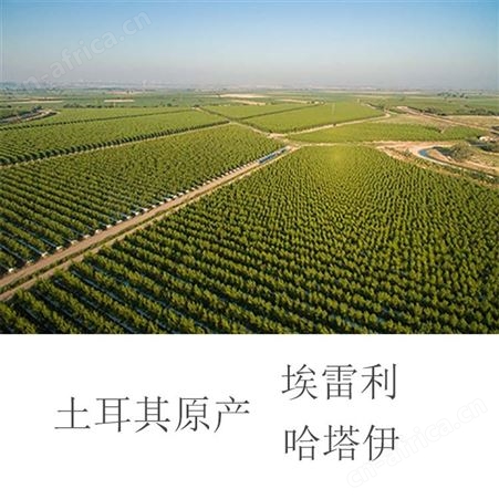 紫胡萝卜浓缩汁天然紫胡萝卜浓缩汁无添加
