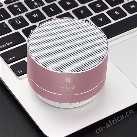 迷你小钢炮无线蓝牙音箱logo免费设计