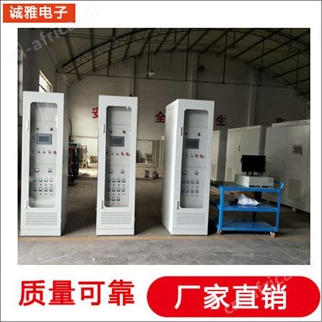 诚雅电子DSP电源生产厂家数字变频电源220V变48V直流电源