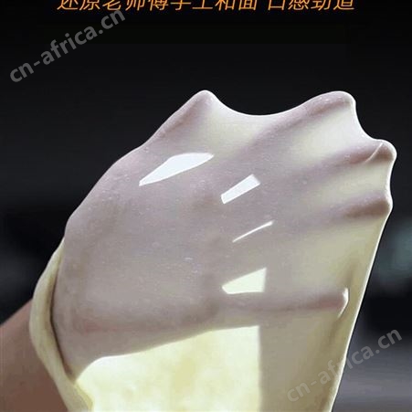 和面机商用25升10公斤全自动厨师打面揉面拌料器打蛋机面粉搅拌机
