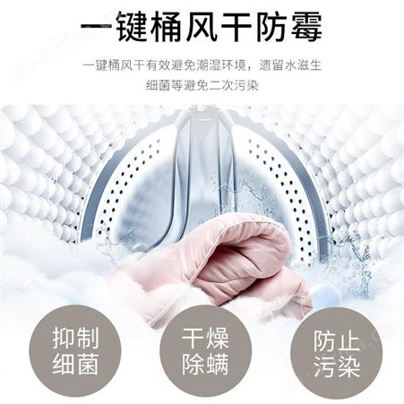扬子XQB85-5155洗衣机家用小型全自动洗脱一体租房宿舍波轮10公斤