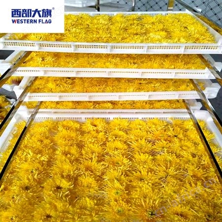 花卉烘干机空气能热泵菊花烘干房节能又环保