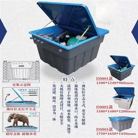 山东泳池设备 泳池消毒循环设备一体机 水循环过滤设备地埋机 一体化地埋过滤系统 泳之泉