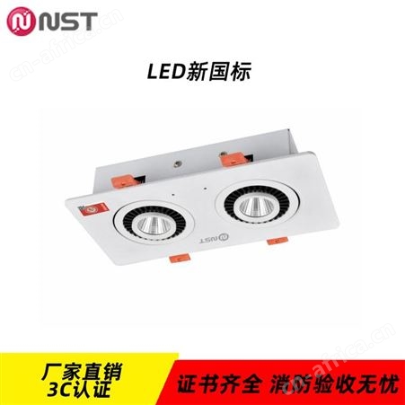 拿斯特6S光世界eps消防应急电源猫头鹰集电集控嵌顶式射灯N-ZFJC-E8W8135