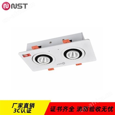 拿斯特6S光世界eps消防应急电源猫头鹰集电集控嵌顶式射灯N-ZFJC-E8W8135