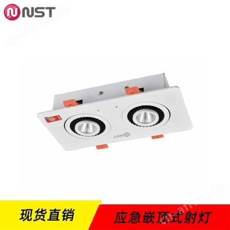 拿斯特6S光世界eps消防应急电源猫头鹰集电集控嵌顶式射灯N-ZFJC-E8W8135