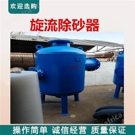 地下水旋流除砂器 山西水源热泵旋流除砂器  远湖天津旋流除污器