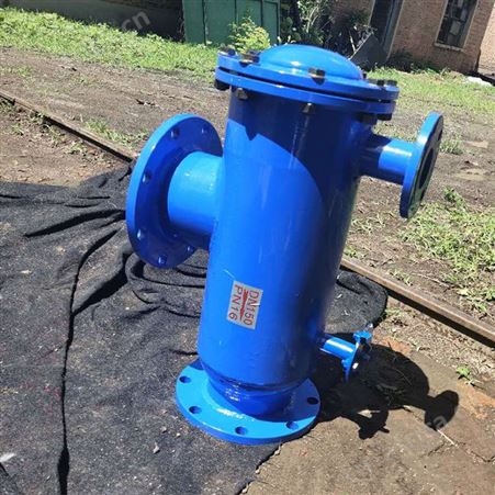 反冲洗过滤器厂家 DN65自动反冲洗过滤器价格 手动反冲洗过滤器
