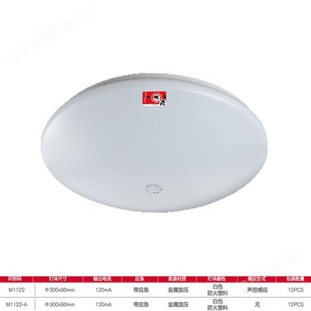 劳士敏华电工智能感应选择B型一体化防火塑料带强启AC220V应急照明吸顶灯M-ZLZD-E12W1122
