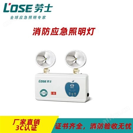 劳士knx智能照明控制系统应急苹果椭圆铁头节能经济双头灯L-ZFZD-E5W1203
