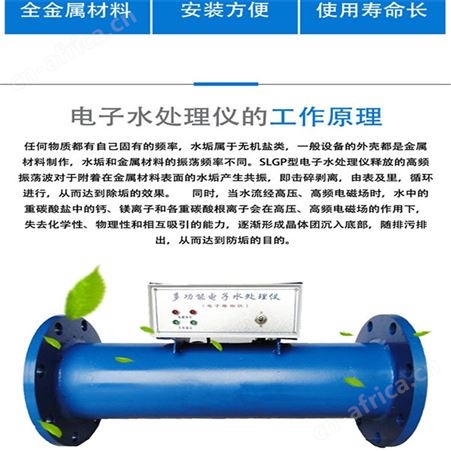 多功能电子水处理仪 电子除垢仪BeGP-100厂家 空调冷却水 高频电子水处理仪 石家庄远湖电子水处