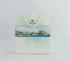 学校庆典白卡手提袋彩色印刷