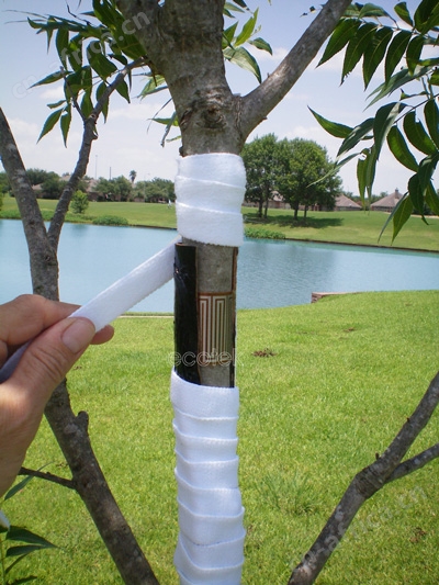 外皮包裹式茎流传感器