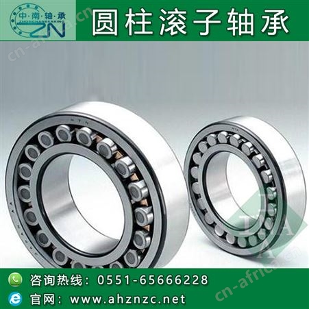 INA SL1829系列： SL182914圆柱滚子轴承