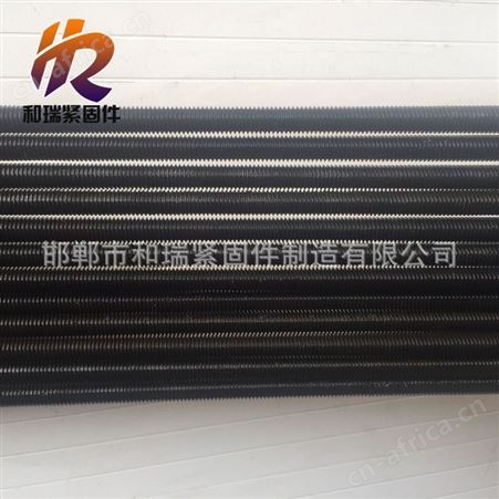 和瑞紧固件厂家  供应m8-m36丝杠  梯型丝杠   欢迎
