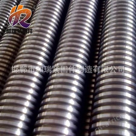 梯形丝杠 T12-T60各种牙距 导程丝杠都可定制正反扣丝杠 和瑞