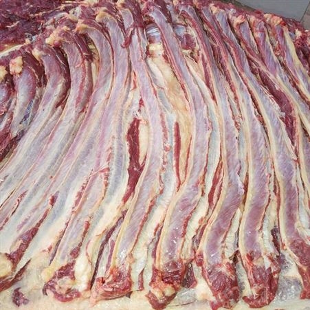   新鲜马肉 蒙古进口马肉马肋条 营养健康食品 欢迎选购