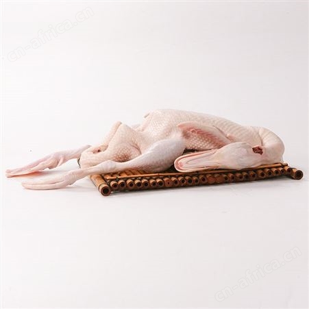 新鲜白条鸭批发厂家价格7.5元一斤 4-7斤规格