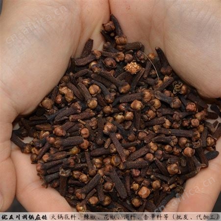 广西公丁香 承接大货量大价优 广西丁香批发-优友供应链