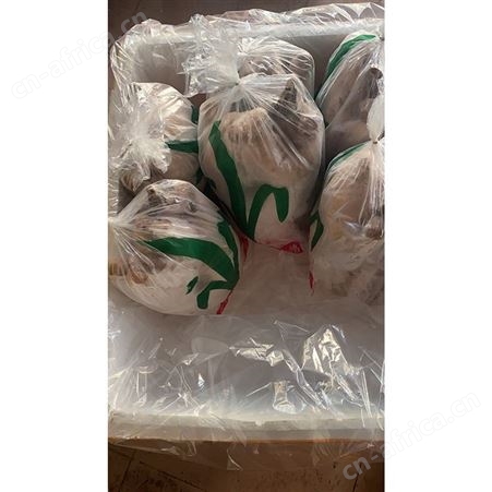 鹅翅膀 黑棕鹅 源头工厂 鲜鹅皇