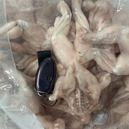 牛蛙鲜活新鲜冻蛙速冻冰鲜美味牛蛙腿肉新鲜牛蛙冷冻10斤火锅食材