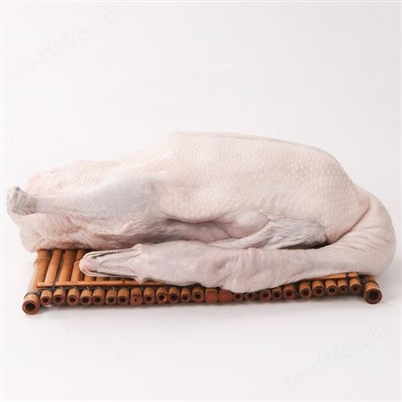 狮头鹅现杀冰鲜新鲜厂家直发