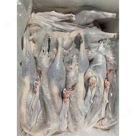 正宗黑棕鹅 卤鹅翅食材 冷冻大鹅 新鲜光鹅 鲜鹅皇