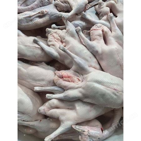 正宗黑棕鹅 黑棕鹅价格 冰冷急冻鹅肉 食品黑棕鹅 鲜鹅皇