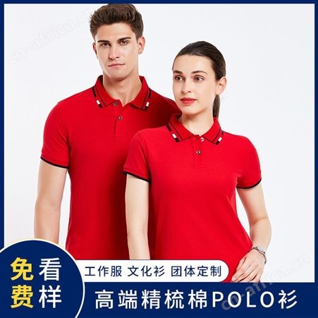 纯棉polo衫定制t恤团队广告文化衫印字logo工作服订做刺绣diy班服