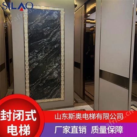 可定制斯奥电梯厂家长期供应封闭式电梯别墅电梯价格