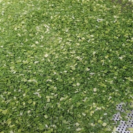 保鲜小香葱段 优质成品速冻葱圈粒售价合理 欢迎咨询 绿拓食品