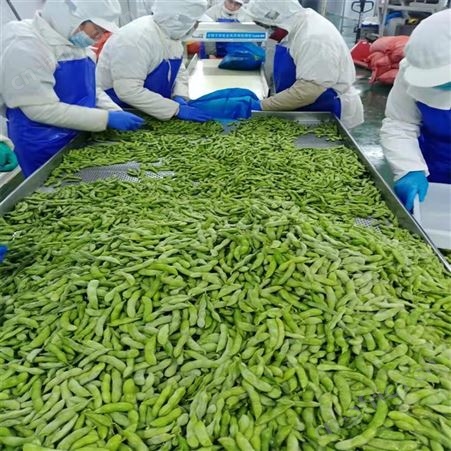 绿拓餐厅配菜速冻毛豆荚 可凉拌腌制带壳加热即食