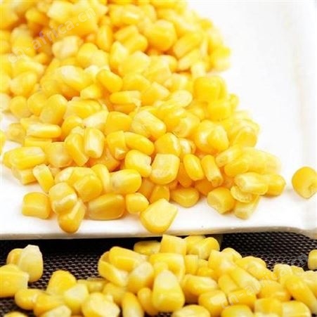 餐厅原材料优质速冻玉米粒 冷冻甜玉米粒批发销售 绿拓食品