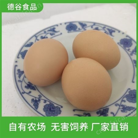 鸡蛋批发基地_德谷食品_供应鲜鸡蛋_