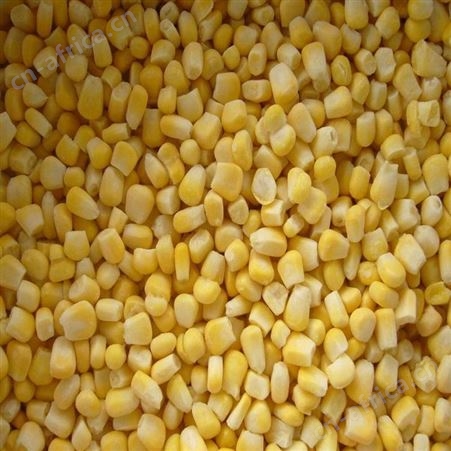 餐厅原材料优质速冻玉米粒 冷冻甜玉米粒批发销售 绿拓食品