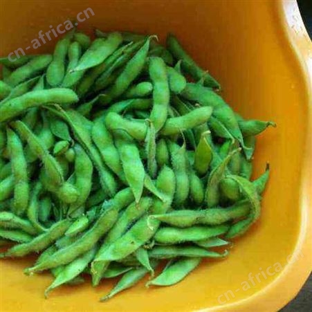 绿拓餐厅配菜速冻毛豆荚 可凉拌腌制带壳加热即食
