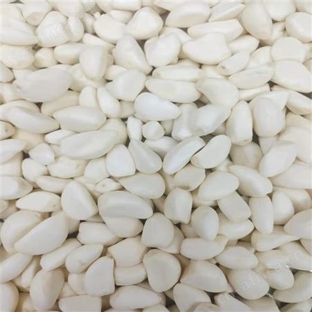 新鲜西蓝花蔬菜直销 优质速冻果蔬食品开袋即食 欢迎咨询 绿拓食品