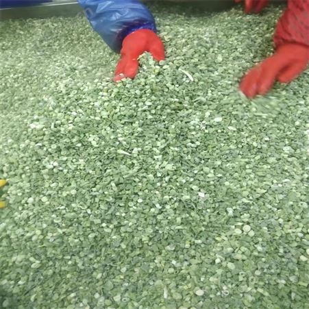 有机健康冷藏日本小香葱 速冻葱圈段售价合理绿拓食品