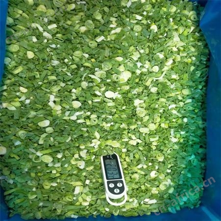 保鲜小香葱段 优质成品速冻葱圈粒售价合理 欢迎咨询 绿拓食品
