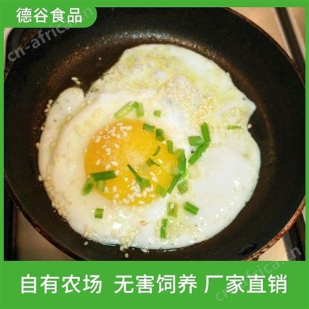 餐饮使用荷包蛋_快餐荷包蛋_德谷食品_新鲜直发