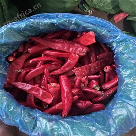 绿拓食品特香二荆条干辣椒 可磨辣椒面口味香辣