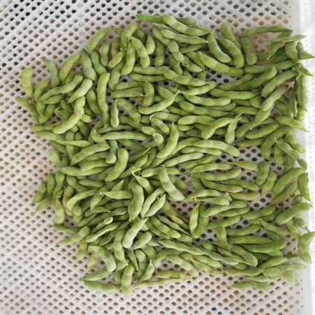日照绿拓食品-速冻香葱-速冻蔬菜厂家