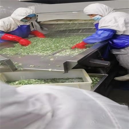 保鲜小香葱段 优质成品速冻葱圈粒售价合理 欢迎咨询 绿拓食品