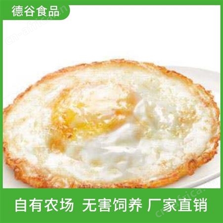 餐饮使用荷包蛋_快餐荷包蛋_德谷食品_新鲜直发