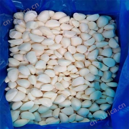 新鲜小香葱段 速冻葱圈段 优质果蔬食品加工 绿拓食品